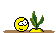 repa (56x33, 9Kb)