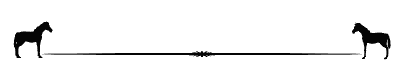 1259869_25f14319a149 (400x60, 7Kb)