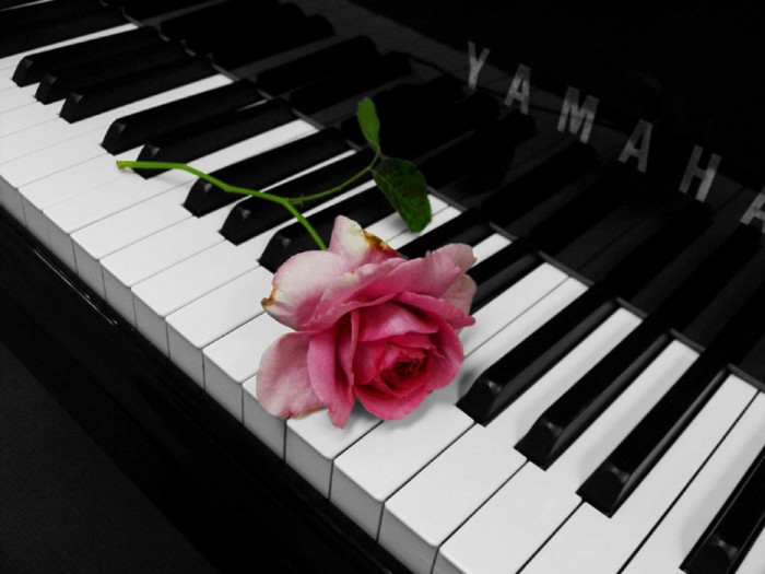 47345173_98355_piano_rose_by_snorkleb11 (700x525, 62Kb)