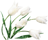 d0c0534b151b (200x165, 27Kb)
