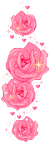 04a05c687dd5035fd13ca54c94b20f3c (50x144, 12Kb)