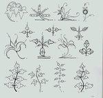  4000 motifs de fleurs et de plantes (51) (700x668, 88Kb)