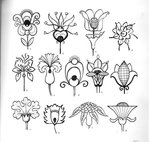 Превью 4000 motifs de fleurs et de plantes (205) (700x665, 95Kb)