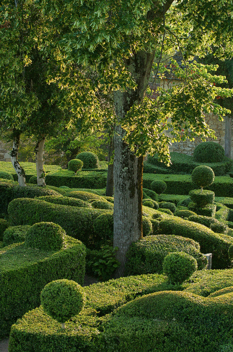 Изумрудные сады Маркессака (Франция) 11 (463x700, 304Kb)