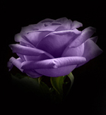 0a1240c17126 (150x163, 27Kb)