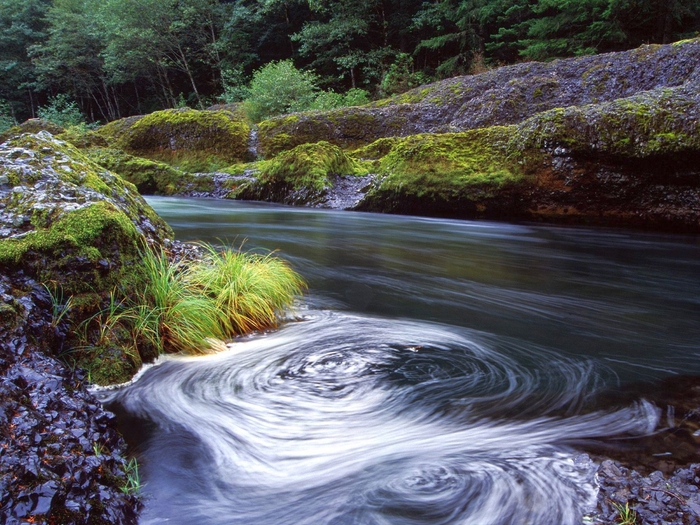 Swirling Eddy, Clackamas River, Oregon (700x525, 357Kb)
