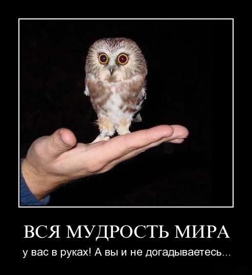 http://img1.liveinternet.ru/images/attach/c/2/82/848/82848999_1296229744_vh8b4r1e9yrq.jpg