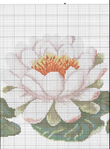  p0036 (514x700, 362Kb)