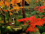  autumn_1lo (700x525, 363Kb)