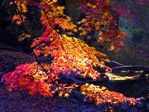  bisyamondo (700x525, 294Kb)