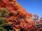  japan_F (127) (700x525, 609Kb)