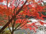  japan_F (136) (700x525, 745Kb)