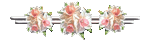 . (8) (150x45, 4Kb)