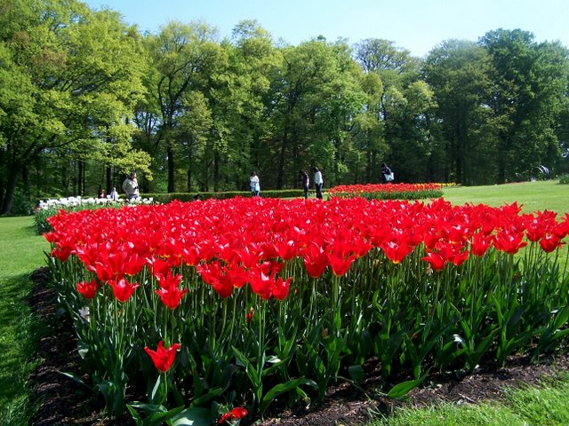 замок Гроот Бейгарден (Groot Bijgaarden) часть 1 47202