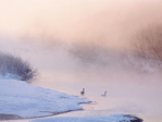  Hokkaido_SR (86) (700x525, 342Kb)