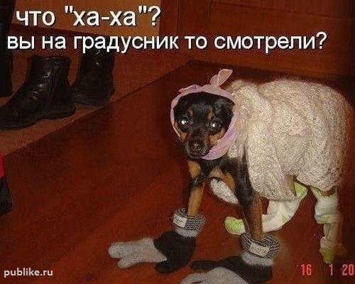 холодно (500x400, 52Kb)