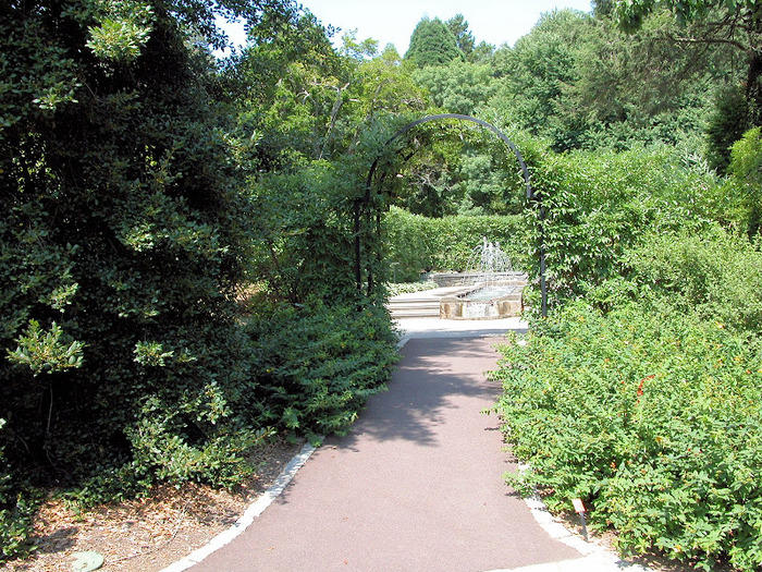 Общественный парк Morris Arboretum, Филадельфия 86767