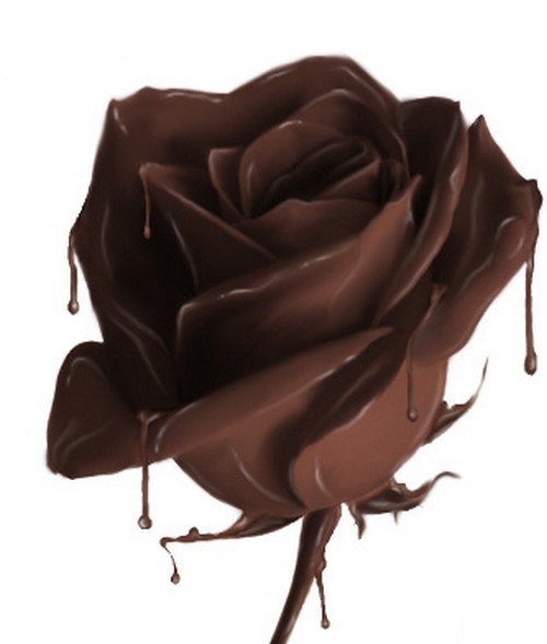 chocolate_rose.86193223 (300x389, 31Kb)