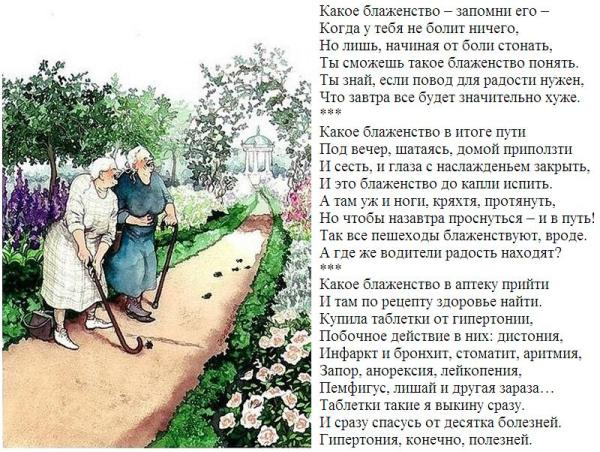 5+ (600x452, 302Kb)