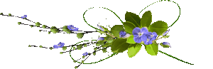 4239794_95887898_0_6e48f_ac9578fa_M_1_ (300x97, 7Kb)