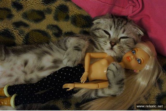 funny-pics_00152 (640x427, 48Kb)