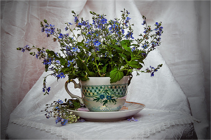 0_92859_28b47199_XL (700x465, 180Kb)