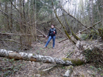  IMG_20150504_143148 (700x525, 449Kb)