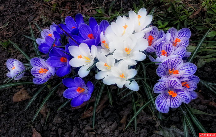35e6d5875b5f4a0707064fbb7b6ead96 (700x445, 460Kb)