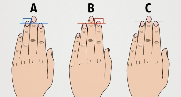 Длина пальцев и характер человека