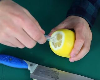 Лимонный распылитель своими руками (4) (320x258, 57Kb)