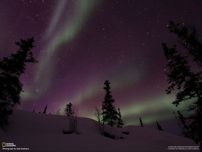 national geographic фотографии 55