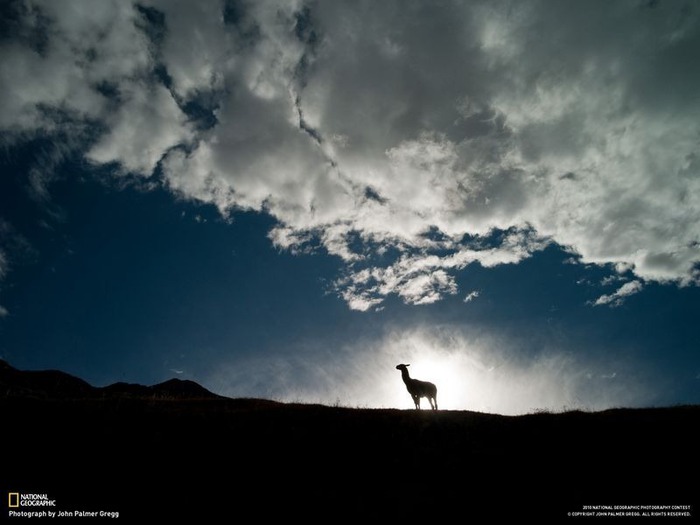 national geographic фотографии 62