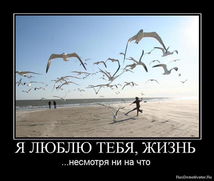 http://img1.liveinternet.ru/images/attach/c/3/74/834/74834713_large_1269728663_871381_yalyublyutebyazhizn.jpg