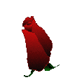 63617458_z36 (110x114, 30Kb)