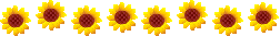 0_59c87_56c187d1_M (252x33, 2Kb)