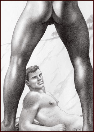 1242743_Tom_of_Finland_22 (303x424, 29Kb)