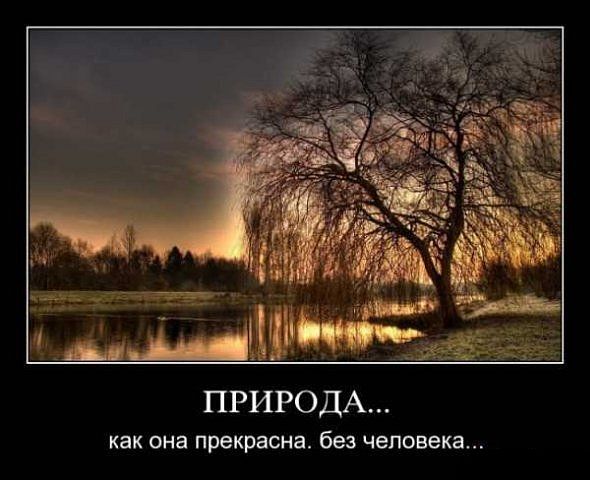 Демотиваторы 41ef8d314702a536237c3bf42a6 (700x600, 53Kb)