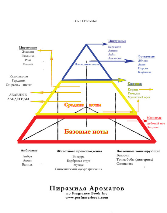 Пирамида аромата картинки