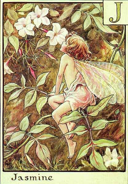 Азбука цветочных фей от Cicely Mary Barker!!!!классные феечки 1273152115_10 (416x600, 105Kb)