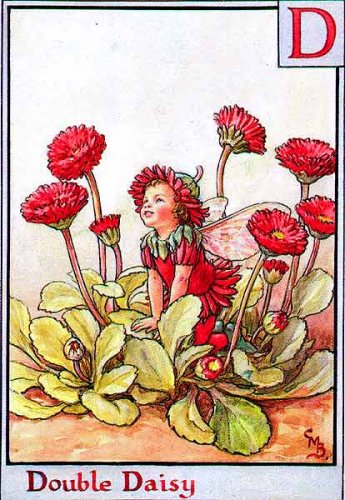 Азбука цветочных фей от Cicely Mary Barker!!!!классные феечки 1273152156_4(1) (345x500, 63Kb)