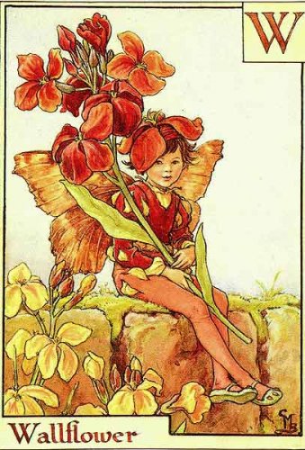 Азбука цветочных фей от Cicely Mary Barker!!!!классные феечки 1273152210_26(1) (339x500, 62Kb)