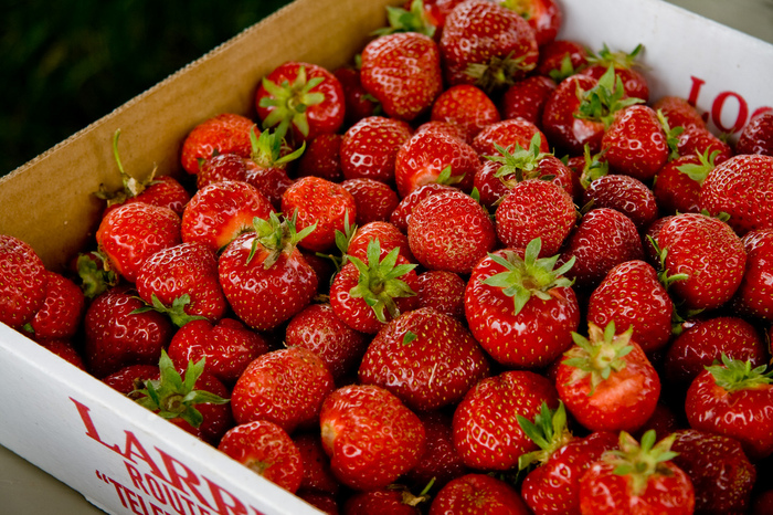 3602057196_052618c27c Strawberries_L (700x466, 306Kb)