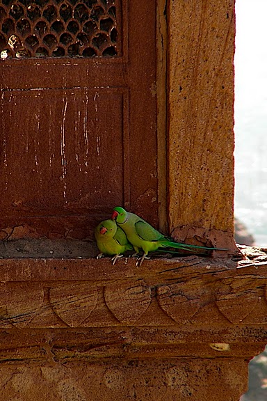 Крепость Мехрангарх - Mehrangarh fort, Jodhpur 65536