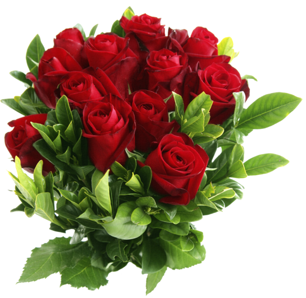 Очень!!!!красивые цветы в png)) 024565807 (600x584, 1263Kb)
