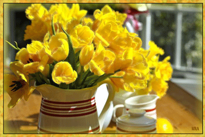 Жёлтые-тюльпаны (400x267, 494Kb)