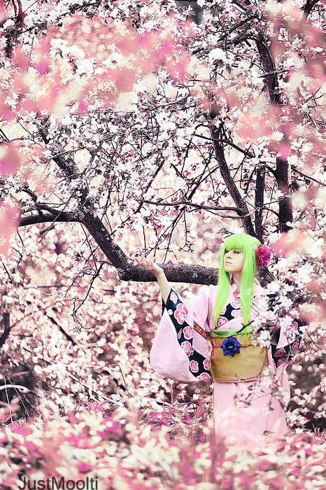 LOL_7287_resize (466x700, 318Kb)
