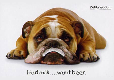 lghr0227+had-milk-want-beer-zelda-wisdom-poster (452x320, 19Kb)