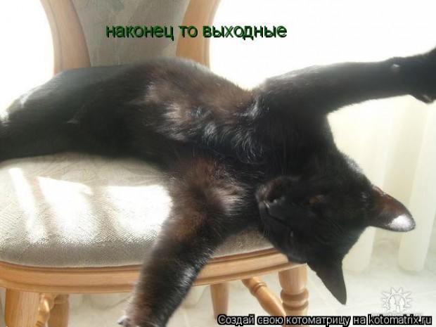http://img1.liveinternet.ru/images/attach/c/3/75/780/75780303_44016763474792.jpg