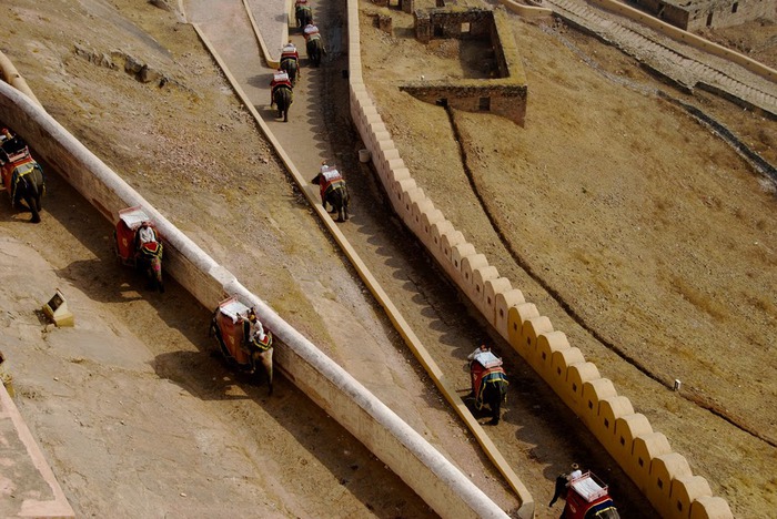 Форт Амбер (Amber Fort) 46495