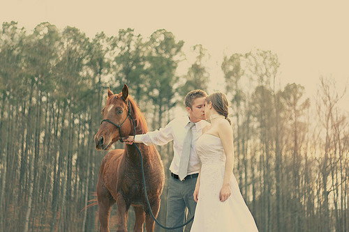 bride-couple-dress-horse-kiss-love-Favim.com-60764 (500x333, 84Kb)